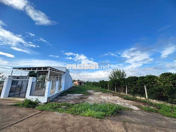 Bán 3 nền đất Tân Hội, Lâm Đồng, 100m2 thổ cư, SHR