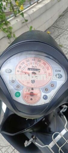 SYM Angela 50 2018 Đen