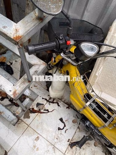 Honda Chaly 50cc Vàng
