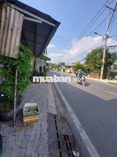 🏠 Nhà mặt tiền đường Trịnh Thị Miếng, xã Đông Thạnh Hóc Môn cho thuê 🏠