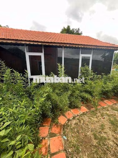 Nhà vườn 2 mặt tiền tâm huyết.