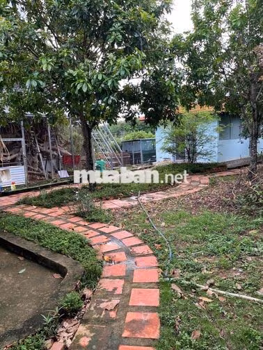 Nhà vườn 2 mặt tiền tâm huyết.