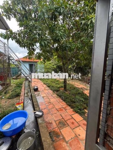 Nhà vườn 2 mặt tiền tâm huyết.