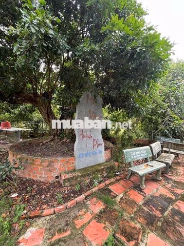 Nhà vườn 2 mặt tiền tâm huyết.