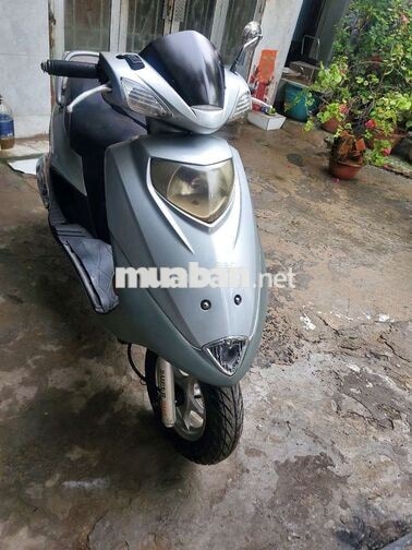 Suzuki sapphire,  bstp.