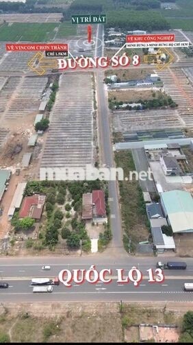 CHỦ NGỘP BÁN 2lô NGAY TT CHƠN THÀNH NHỰA 12m CÁCH QL13 chỉ 500m