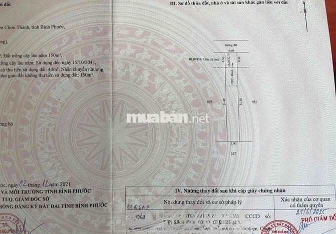 CHỦ NGỘP BÁN 2lô NGAY TT CHƠN THÀNH NHỰA 12m CÁCH QL13 chỉ 500m