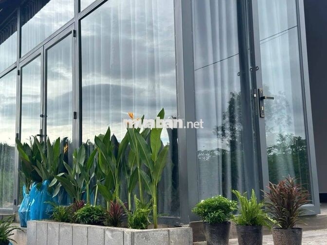 Chính chủ sag rẻ lại nhà vườn (20*50m) 100m tc gần Chợ Minh Hưng 590tr