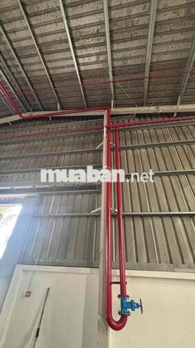 CHO THUÊ XƯỞNG 1700m GẦN KCN NAM TÂN UYÊN