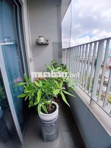 CĂN GỐC VIEW SÔNG DIAMOND LOTUS Q8 - 3PN