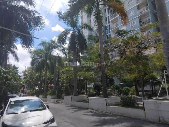 CHUNG CƯ 8X ĐẦM SEN QUẬN TÂN PHÚ ( CÁCH ĐẦM SEN 500M)