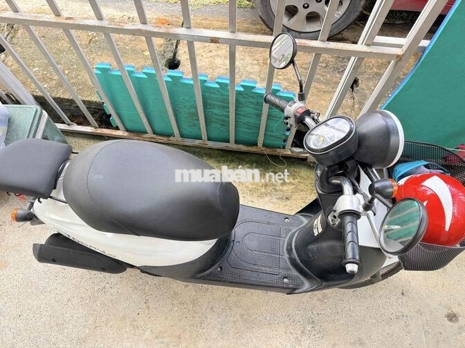 Honda Today 50 Trắng
