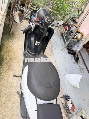 Honda Today 50 Trắng