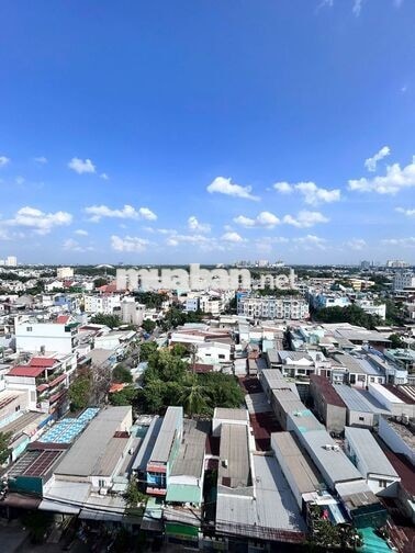Cần bán căn hộ chung cư Bông Sao, 1PN, nhà đẹp, lầu cao, sổ hồng sẵn