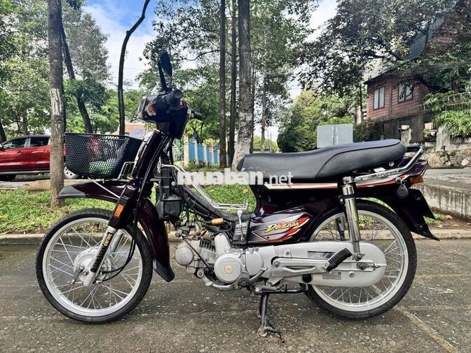 Honda Super Dream 2008 Nâu Xe số