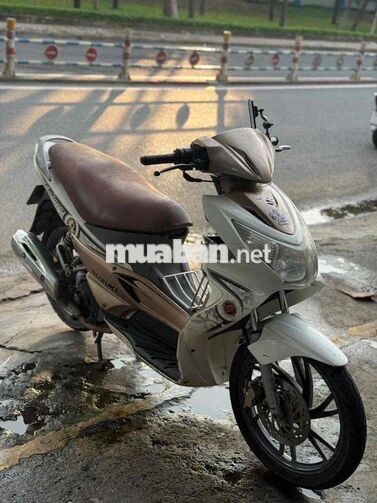 Suzuki Hayate Trắng, Nâu