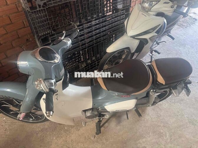 Cub 50cc Ý 2025 Xám trắng