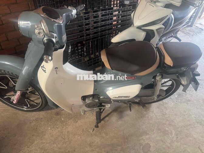 Cub 50cc Ý 2025 Xám trắng