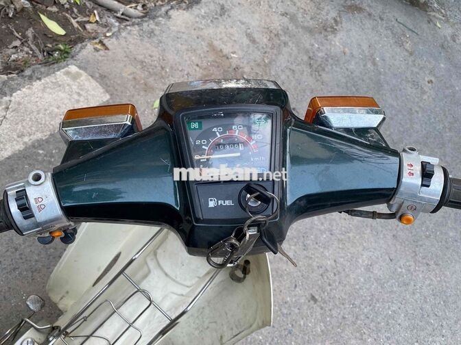 Honda Cup 82 50cc 2022 Xanh Trắng