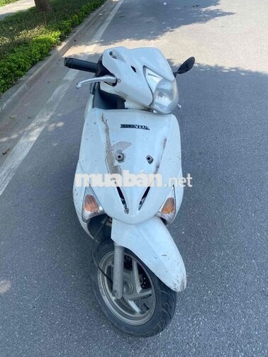Honda Lead Trắng