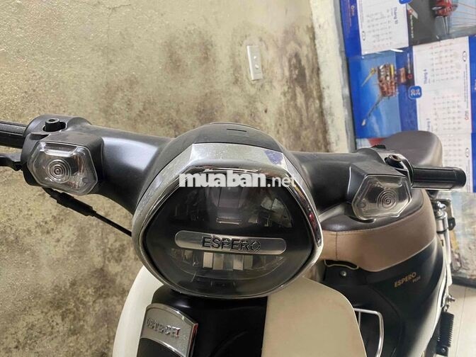 Detech Cup Espero 2023 Đen sần 7000km mới