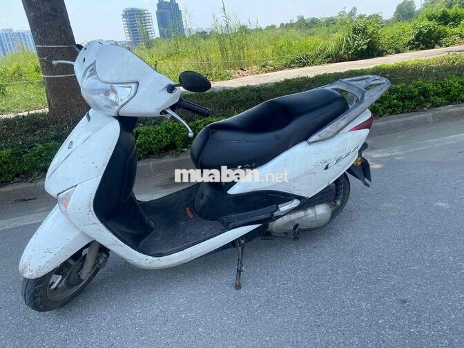 Honda Lead Trắng