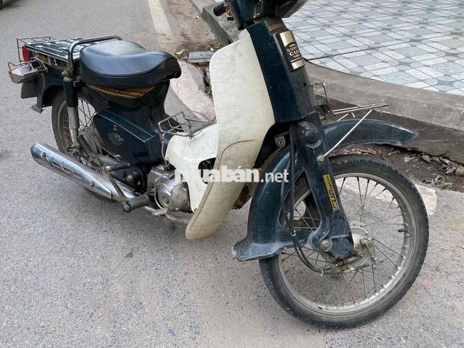 Honda Cup 82 50cc 2022 Xanh Trắng