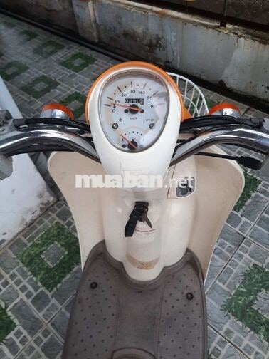 Honda Scoopy 50cc Trắng Cam