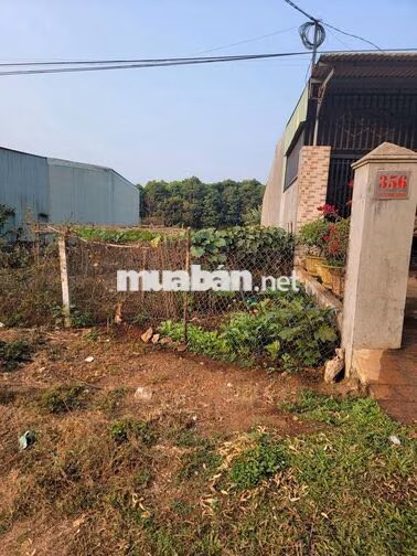 BÁN ĐẤT MẶT TIỀN ĐƯỜNG LÝ CHÍNH THẮNG – PLEIKU**