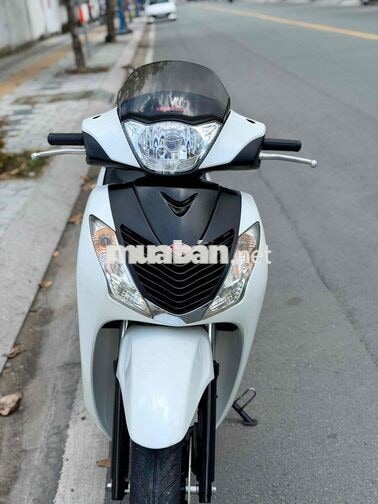 Sh 150 nhập ý sm104 biển dễ thương