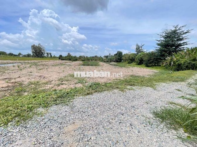 ĐẤT VƯỜN NGHĨ DƯỠNG 550m2 ngay tại Long Xuyên(Phường Bình Đức)