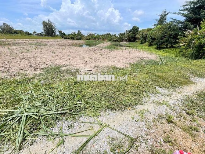 ĐẤT VƯỜN NGHĨ DƯỠNG 550m2 ngay tại Long Xuyên(Phường Bình Đức)