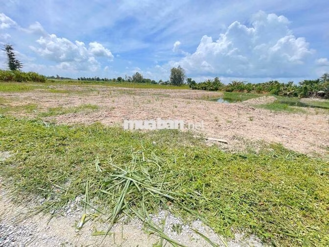 ĐẤT VƯỜN NGHĨ DƯỠNG 550m2 ngay tại Long Xuyên(Phường Bình Đức)