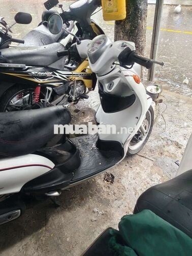 Yamaha Mio Classico Trắng biển 43