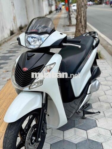 Sh 150 nhập ý sm104 biển dễ thương