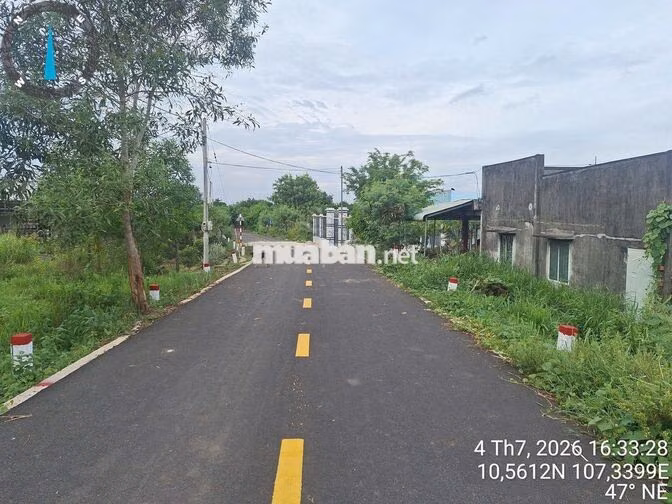 Bán đất Láng Dài, Đất Đỏ, BRVT 268m2 (100 tc) đường nhựa 600 triệu