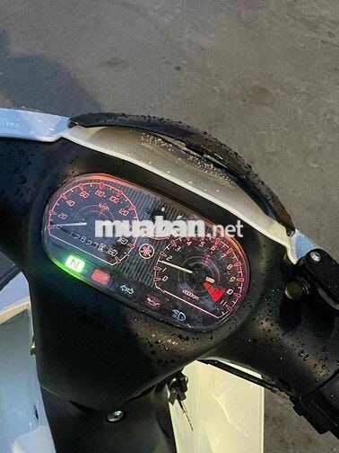 Yamaha Ya cá mập Trắng Mới 100%