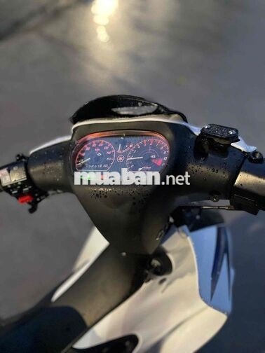 Yamaha Ya cá mập Trắng Mới 100%