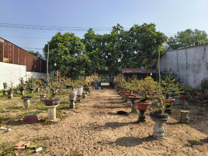 Bán 1000m Đất mặt tiền Trương Văn Đa giao cắt Vành Đai 3 chỉ 400m