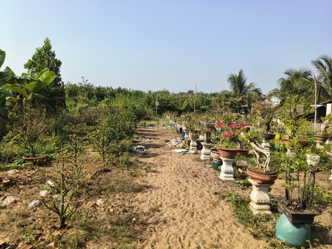 Bán 1000m Đất mặt tiền Trương Văn Đa giao cắt Vành Đai 3 chỉ 400m