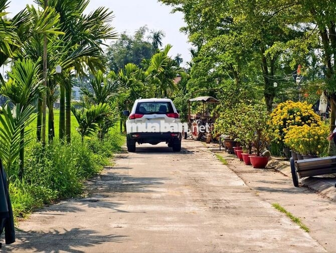Mitsubishi Pajero Sport 7 chỗ Dầu Số sàn Trắng