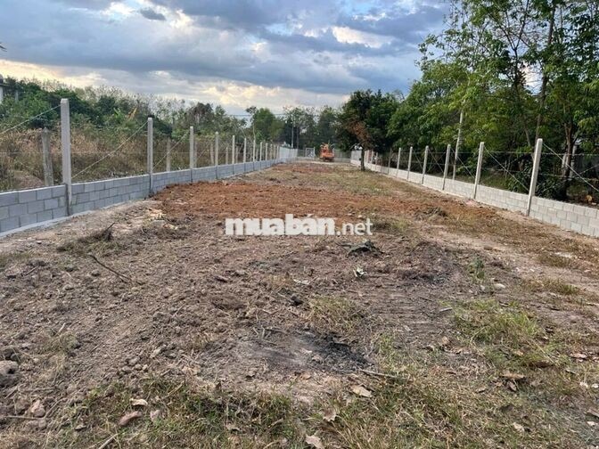 Mặt tiền kinh doanh 436m2 chợ Nguyễn Văn Khạ, giá full 850 triệu SHR