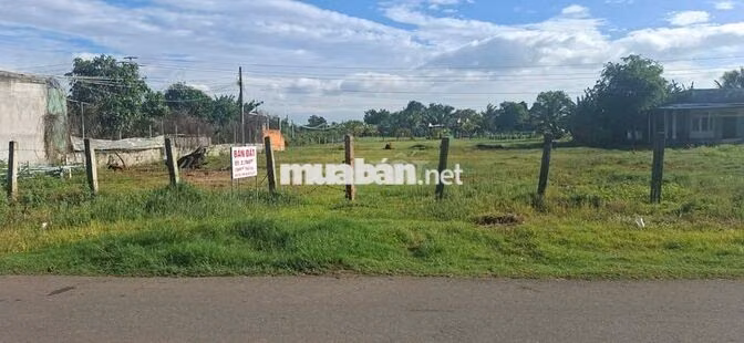 Bán đất nền Hàm Thắng (gần Phan Thiết), tỉnh Bình Thuận cũ