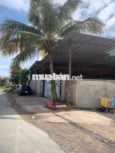 Cho thuê kho xưởng 1500m2, ngay cổng cát tường phú sinh, Long An