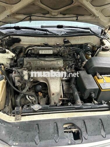 Toyota Camry LE Trắng Nhật Bản Sàn