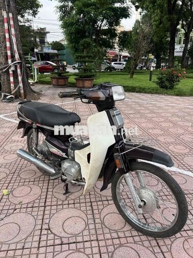 Honda Dream Thái Đen, Trắng