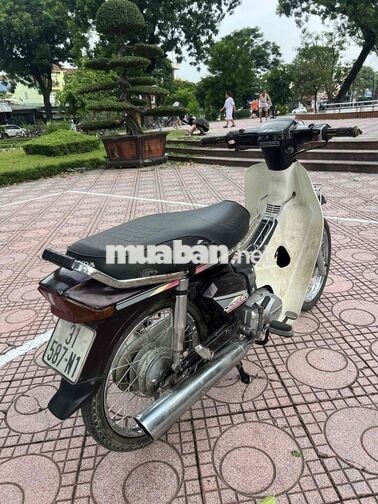 Honda Dream Thái Đen, Trắng