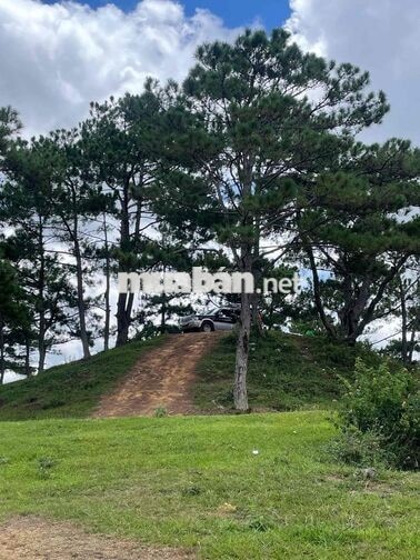 Ford Everest XLT Đen Xe 2 cầu