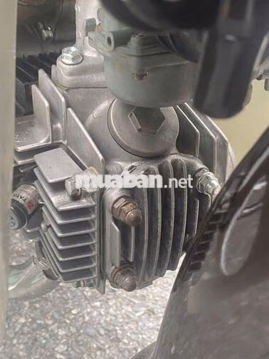 Honda Dream Thái Nâu, Trắng