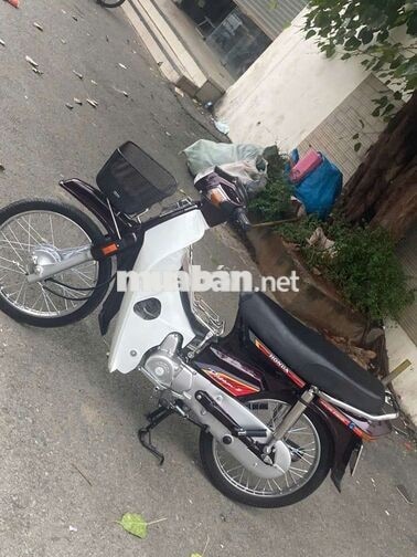Honda Dream Thái Nâu, Trắng